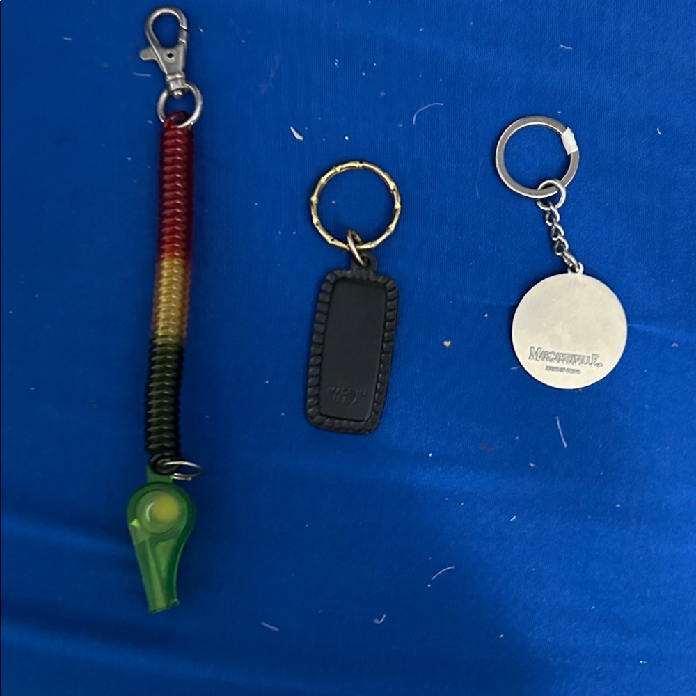 Keychain Accessory - Black - Picture 2 of 7